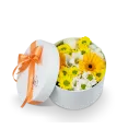 Box žlutých květin zavřený